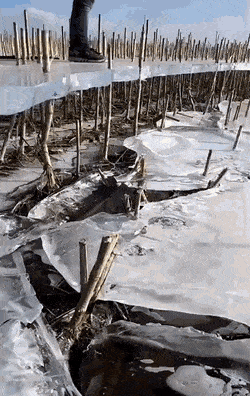 GIFs-3