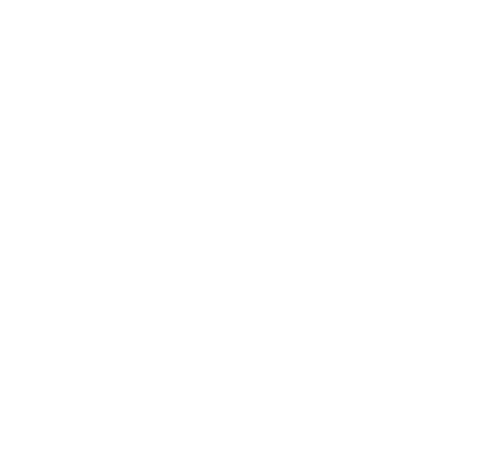 Alesson José