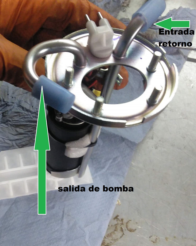 IMG_20210202_100740_560 - copia