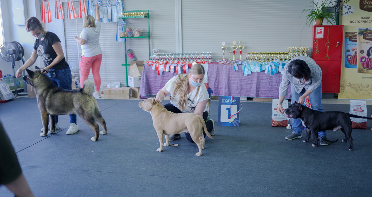 IMGP6705-2 - копия