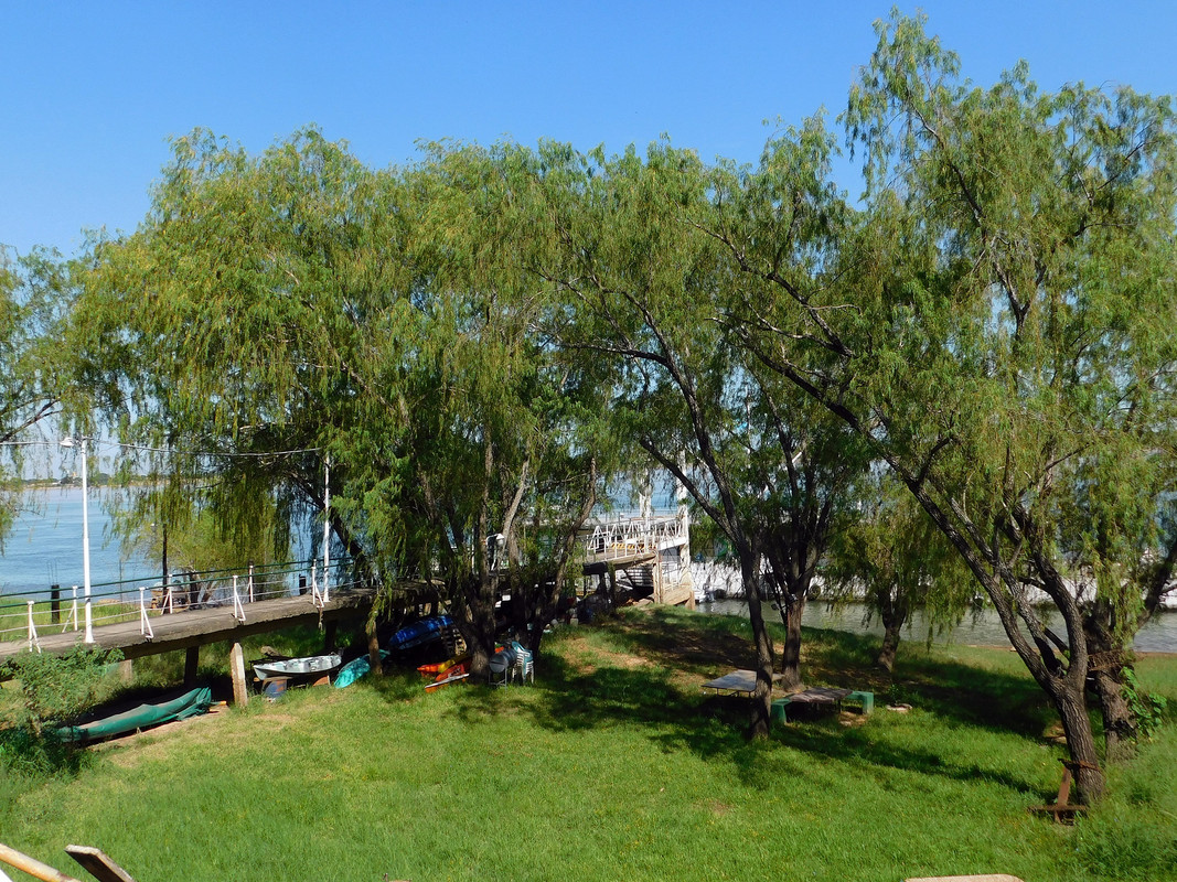 DSCN0828.jpg
