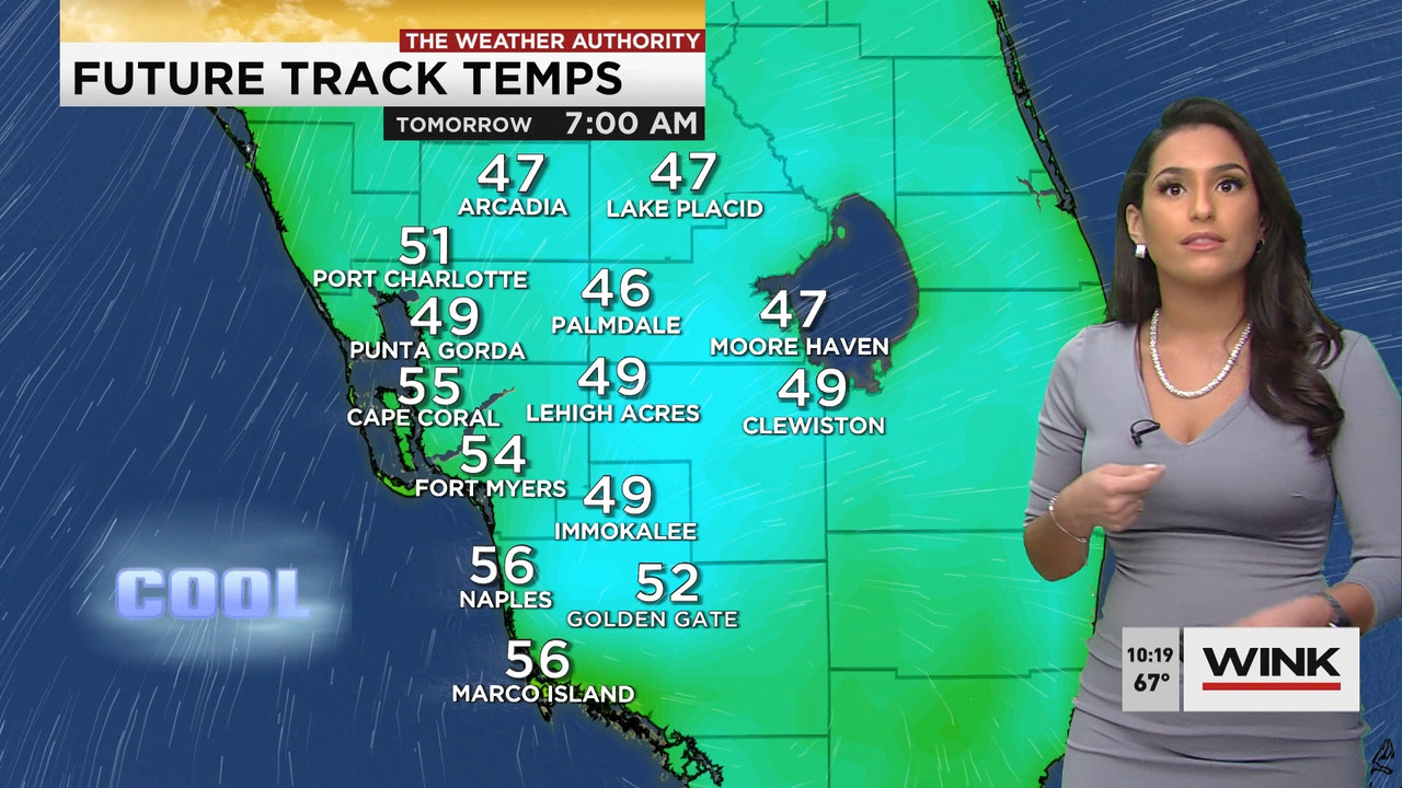 01.21 - 15.00.00 - WINK News at 10 00AM..ts_snapshot_00.25.53.044