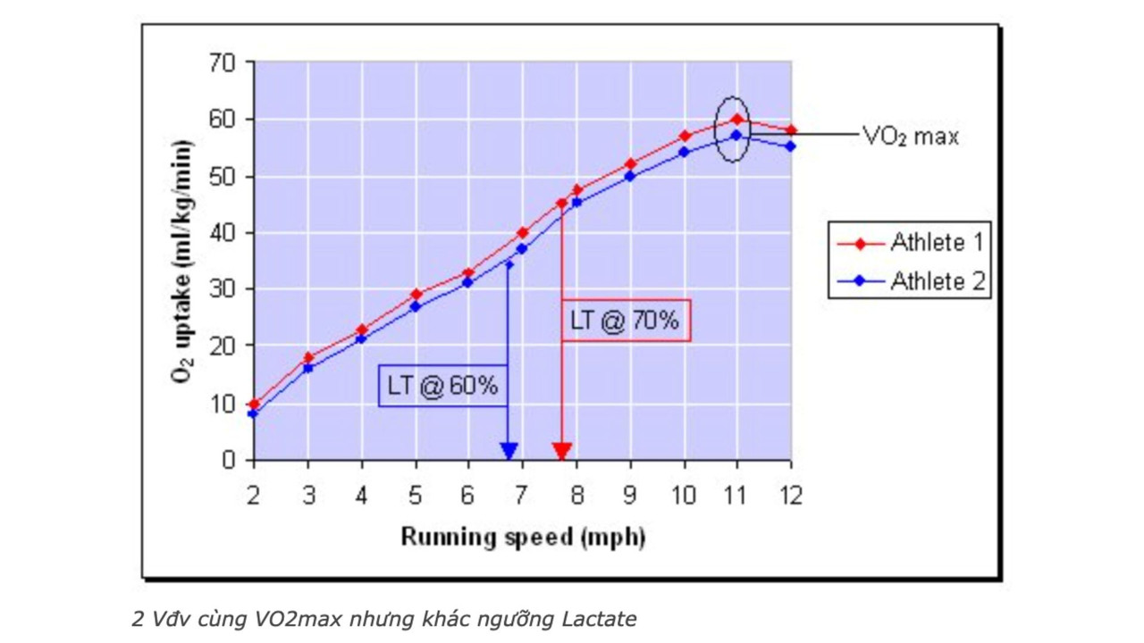 Biểu đồ so sánh 2 vận động viên cùng VO2max nhưng khác ngưỡng lactate 60% và 70%