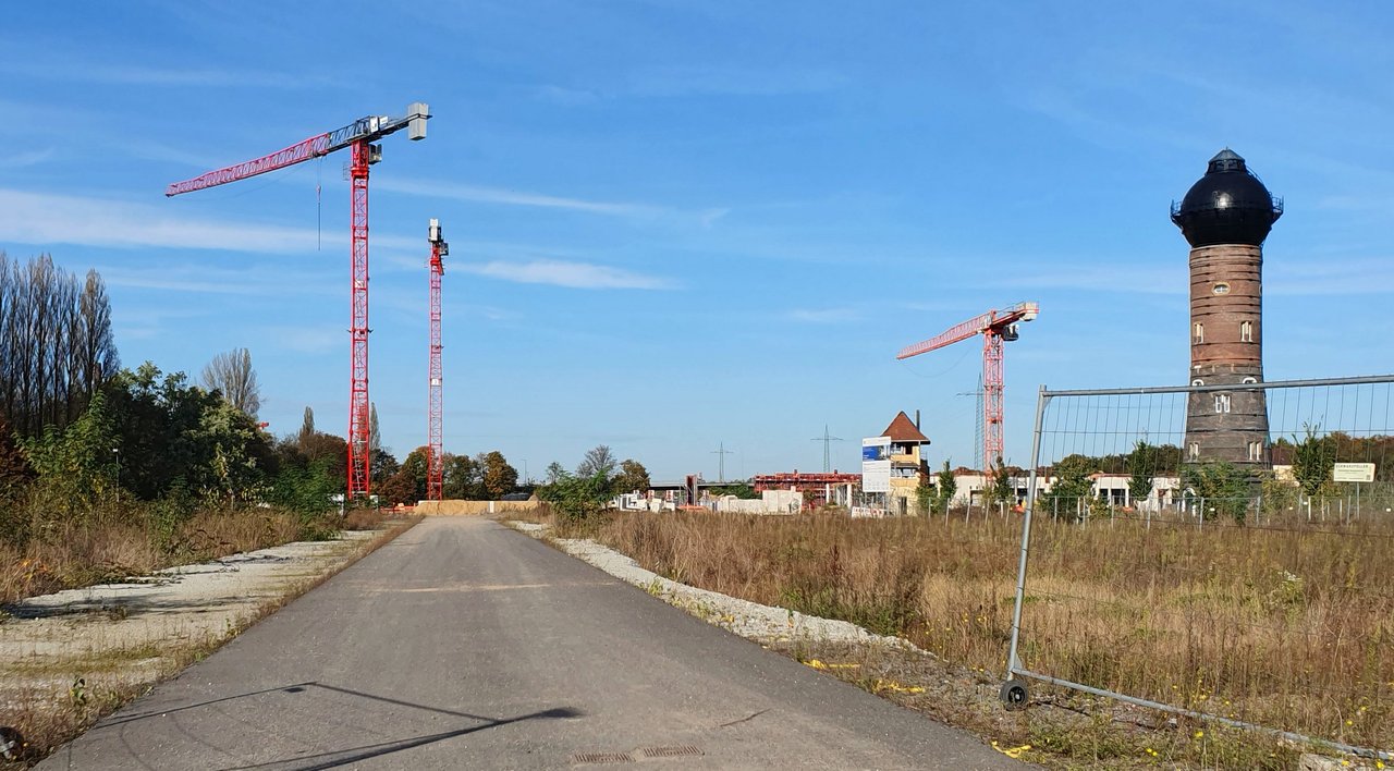20241026-142424-Shift-N.jpg