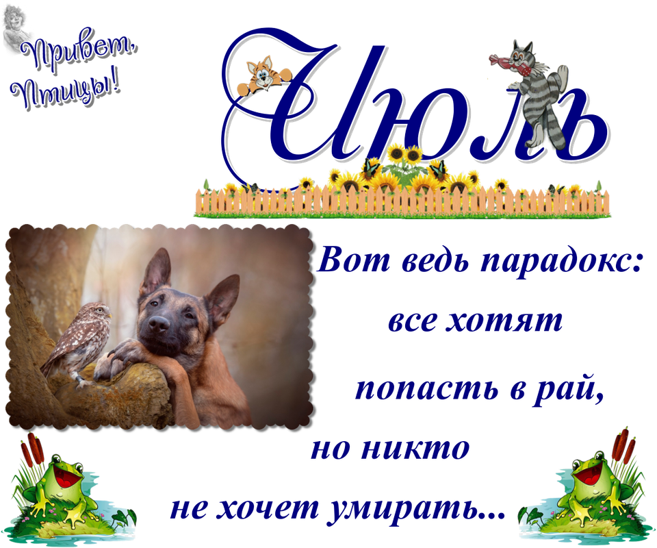 https://i.postimg.cc/G2vcvpkj/15-07.png