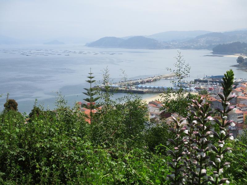 COSTA DE GALICIA V: COSTA DE PONTEVEDRA, Ruta-España (6)