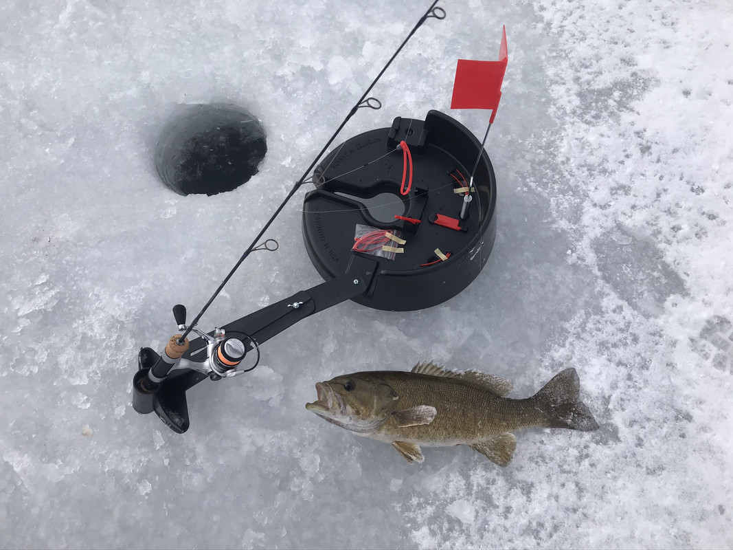 86034479-0659-4BDD-969D-AD5532E32B91