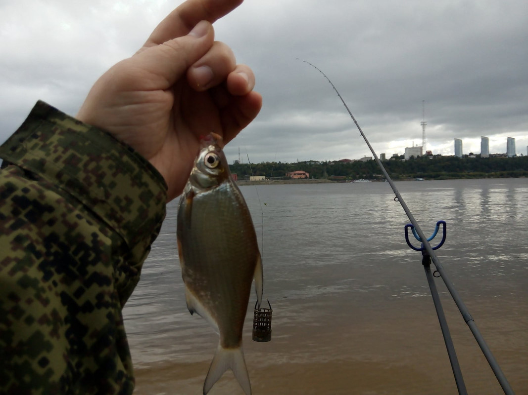 Кама 23.08.15 02