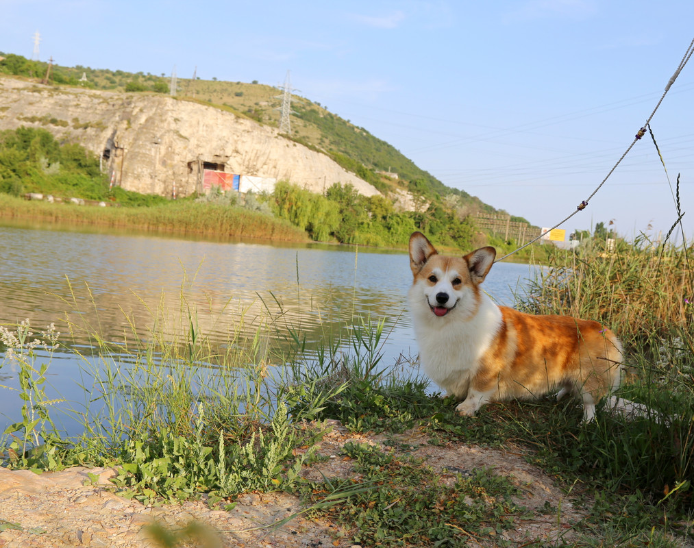 IMG_6554 3.07.21 супер