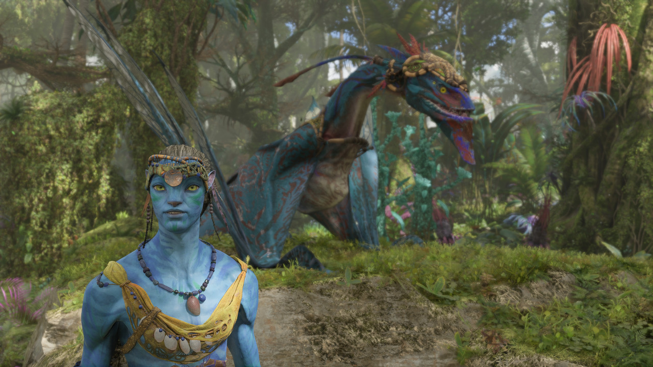 afop 2026 01 08 04 29 28 479