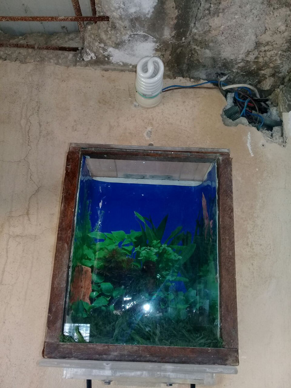 IMG-20180422-WA0000