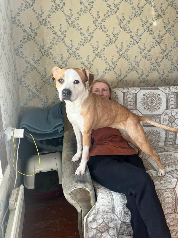 WhatsApp Image 2024-03-21 at 21.27.15 (1)