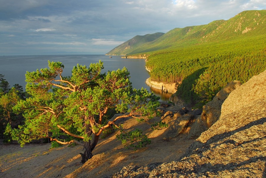 green-summer-time.jpg