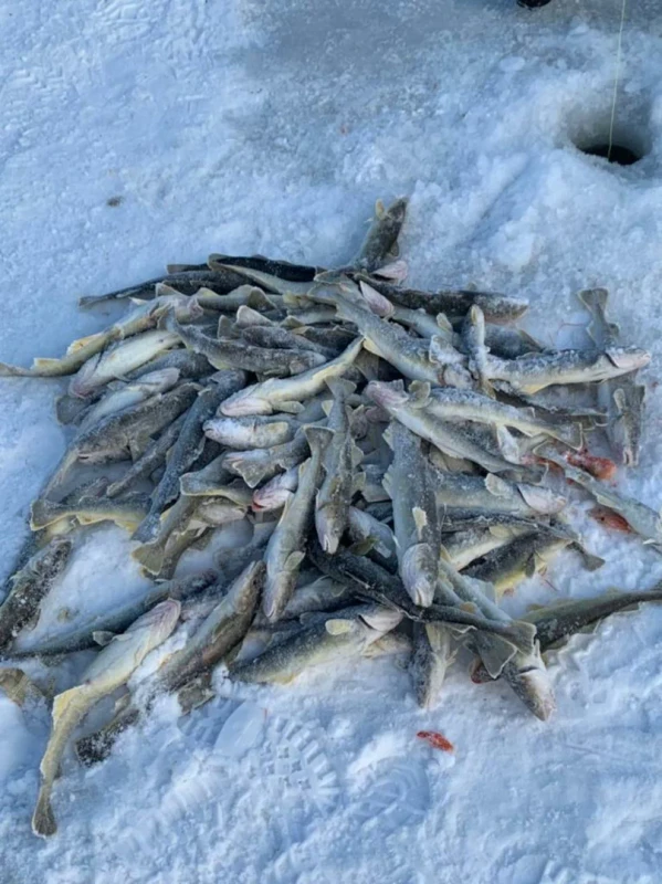 Зимние гастротуры по Сахалину: морепродукты в холодное время года