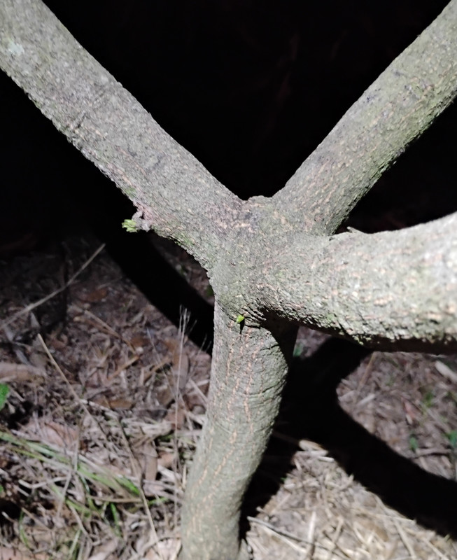 IMG 20260304 191638072 2