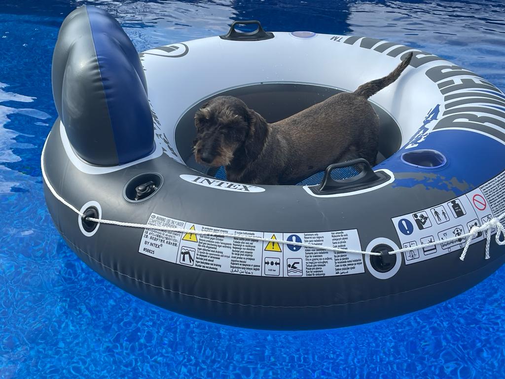 [Image: 062afb55-53f7-4c3e-a09a-f9abb74f0568.jpg]