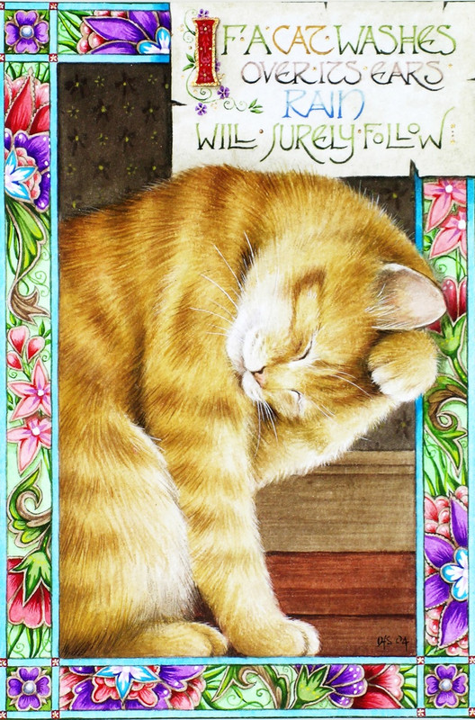 2-IF-A-CAT-WASHES-OVER-ITS-EARS-RAIN-WILL-SURELY-FOLLOW-1-C22991(1)