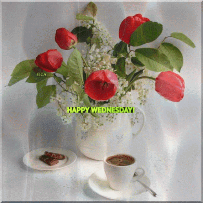 An den Beitrag angehängtes Bild: https://i.postimg.cc/G2wX3szX/oie-1081833-SH5-ZPMun.gif