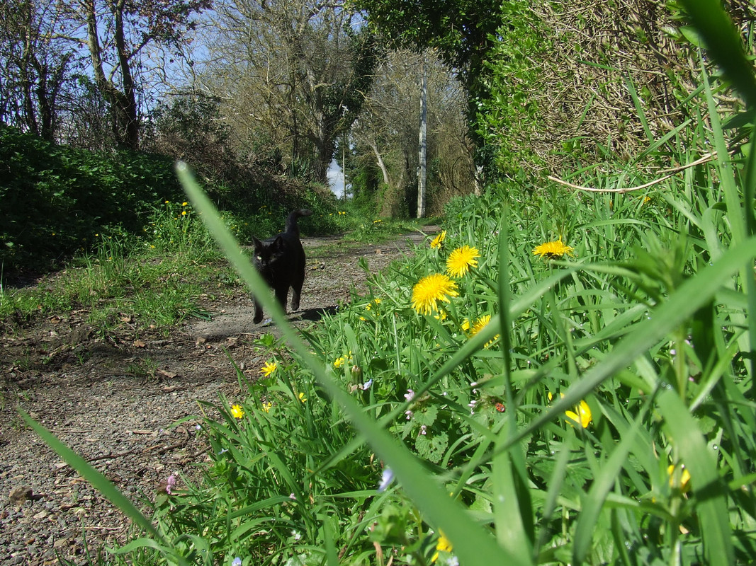 spring-003.jpg