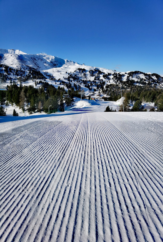 IMG_20231129_100050_edit_2709763400583913