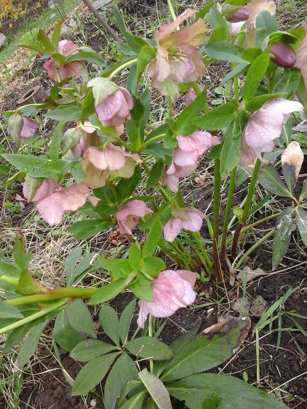 20190416_122330