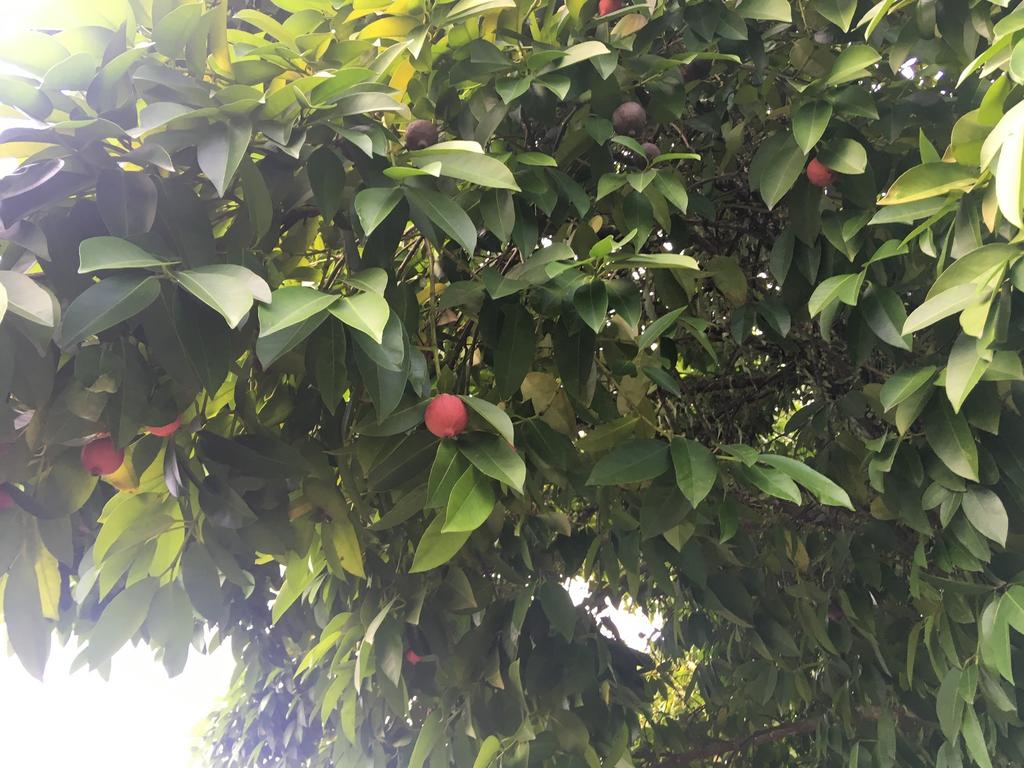 D0FBFC41-BED3-4F10-A360-3E270E4D9BAF