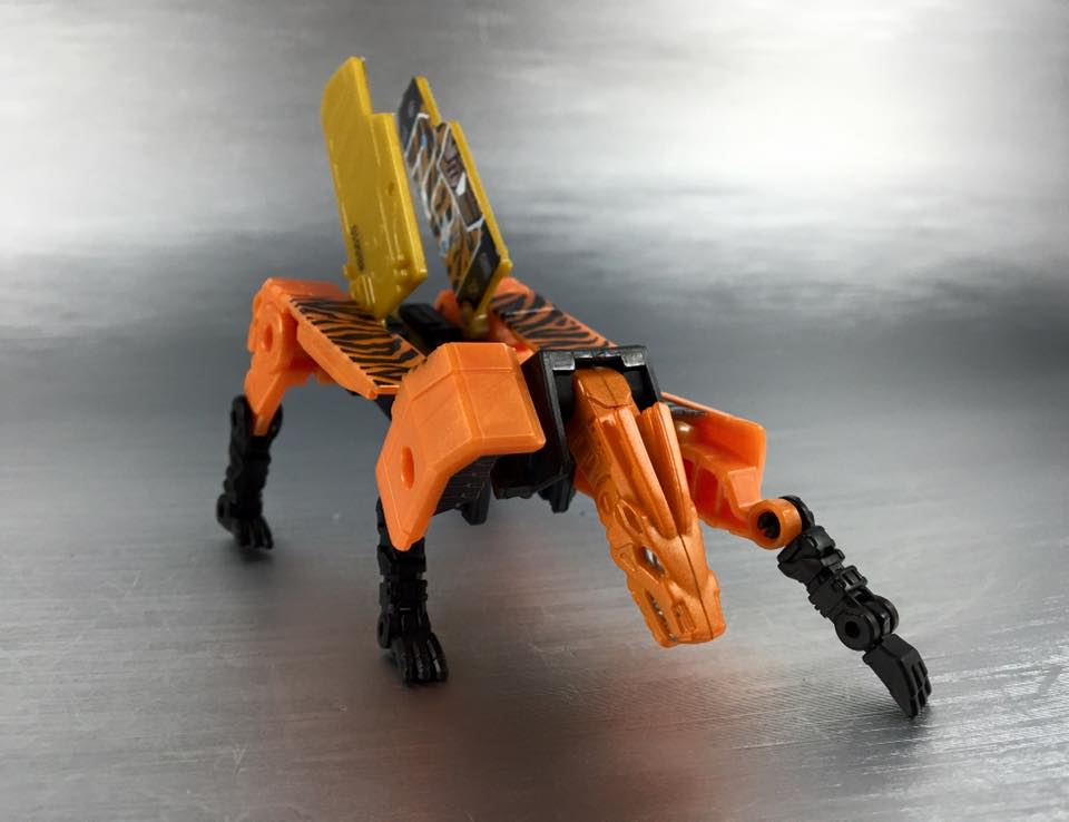 13522054_876044955856244_588844044124713678_n