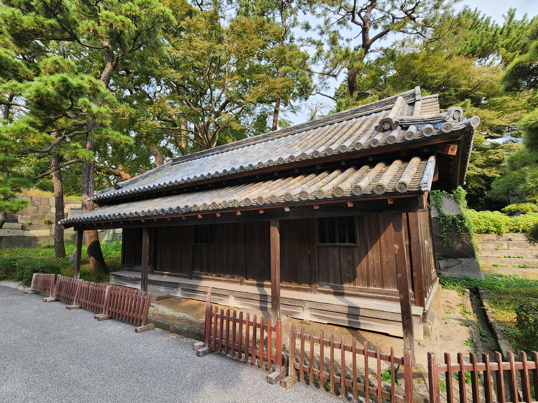 20231105-090927.jpg