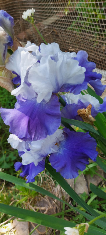 6E6F7664-F483-4D5A-AB55-E361DCB6F3C1