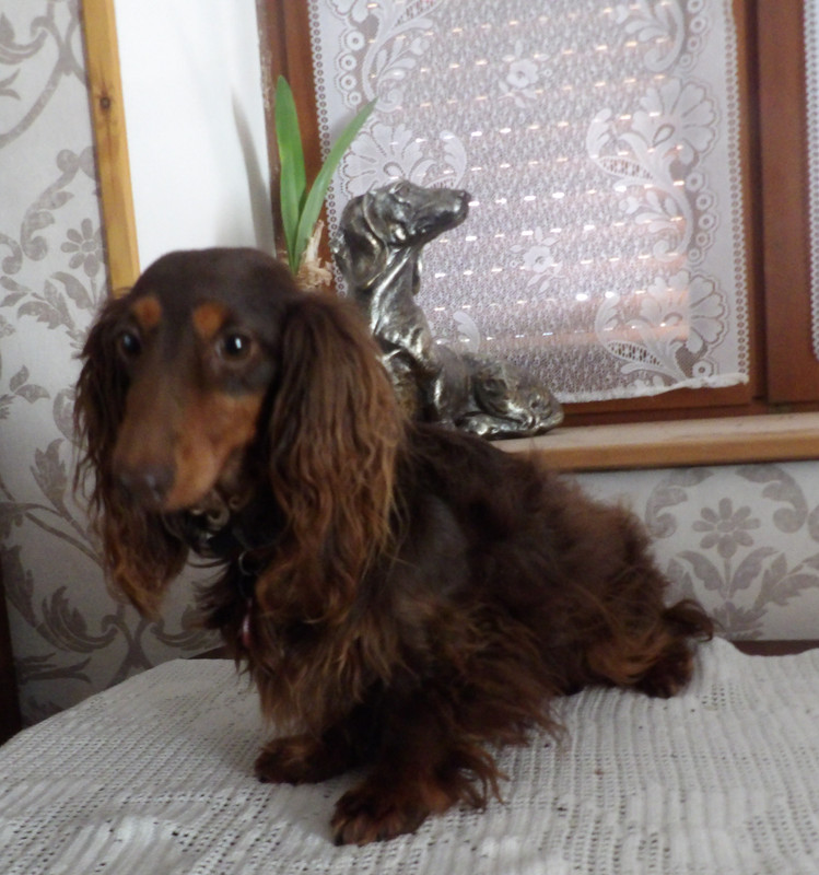 [Image: 125-0786.jpg]