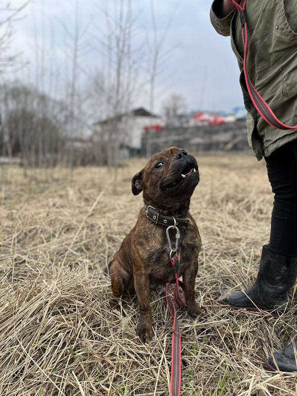 image-09-04-23-05-26-2 (1)