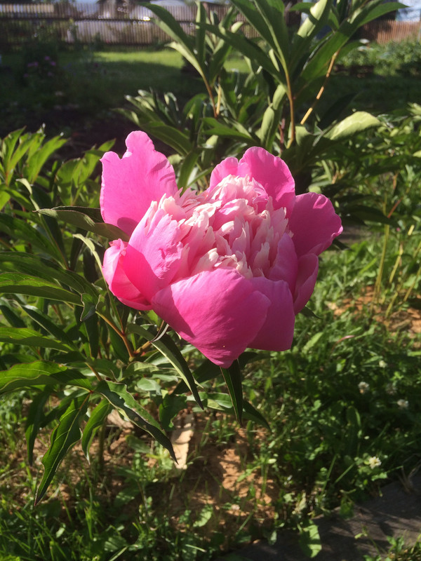 0D5D00D1-AB1B-4F3C-8F2C-60353AEA5CCE