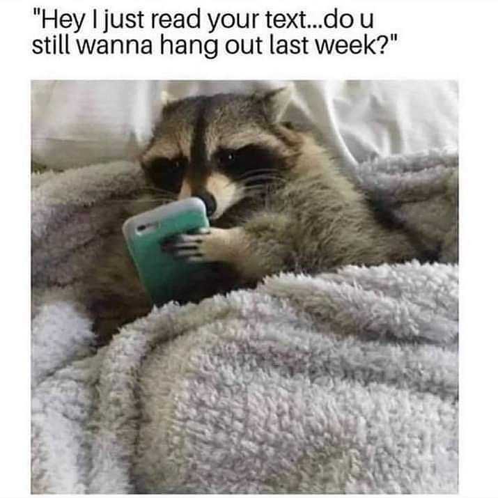 185393797-606964594032088-2922160839631518916-n