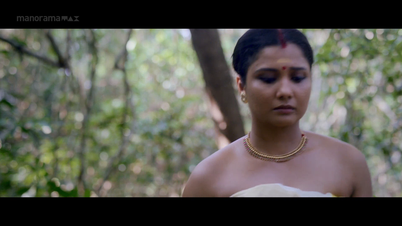 vlcsnap 2026 02 06 17h16m48s765