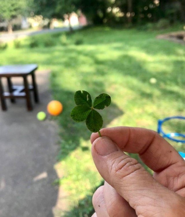 Findings-1