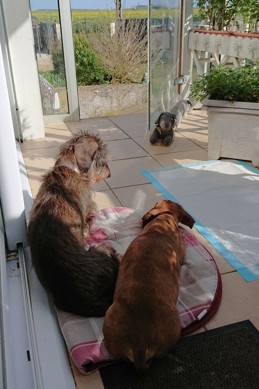 [Image: DSC-2526.jpg]