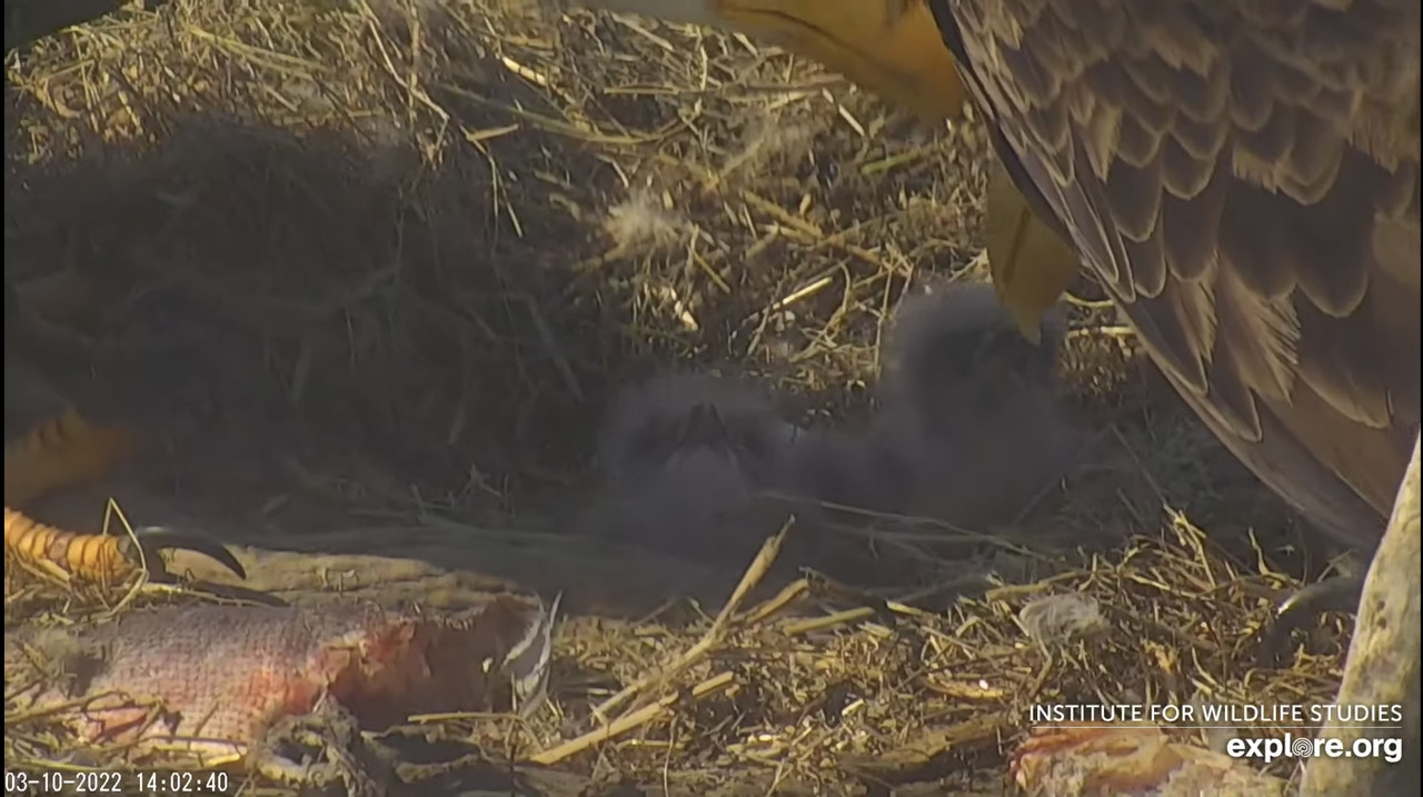 8193E5AD-0F1C-43EC-96A2-F9C184E5F667