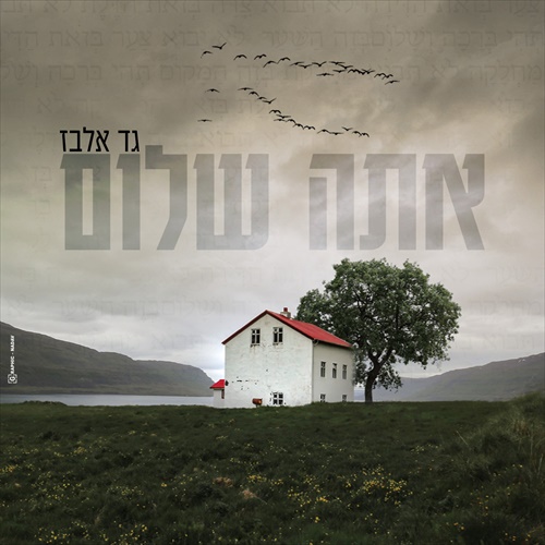 תמונה
