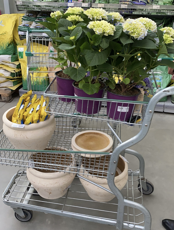 1FEB9CFC-E8F1-446D-9C7D-69DAB5D0DCFE