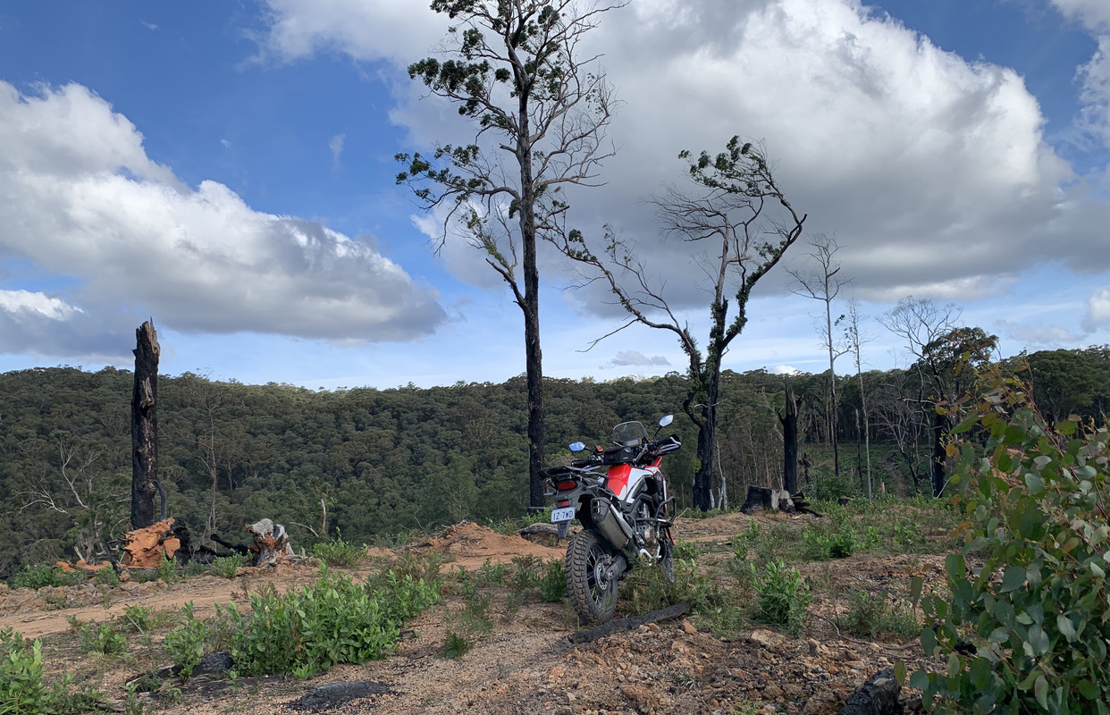 A5D2BA56-156F-47D1-A2CF-FA09134FC1C2