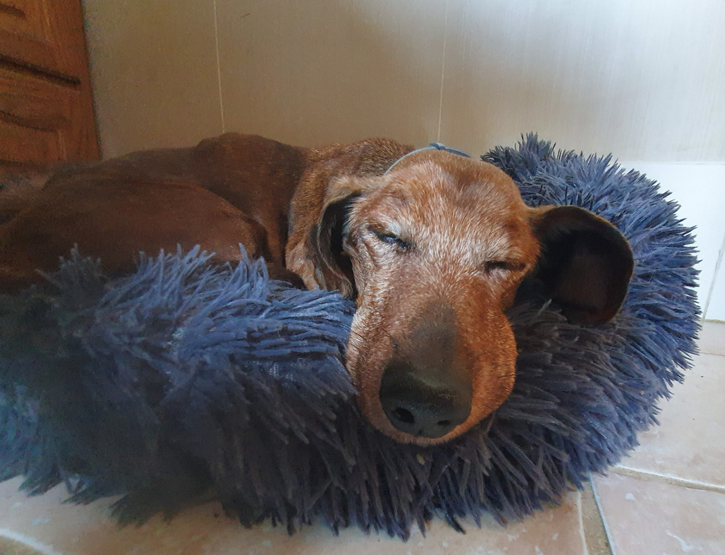 [Image: 20220503-084910.jpg]