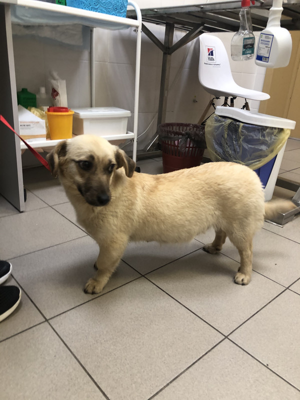 8DE415CE-AE46-407D-AD5E-28AE7E0D47F3