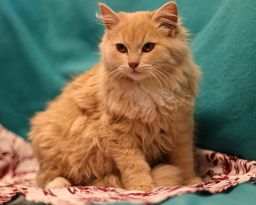 412C55BF-5561-4649-823B-8145F24E05EE