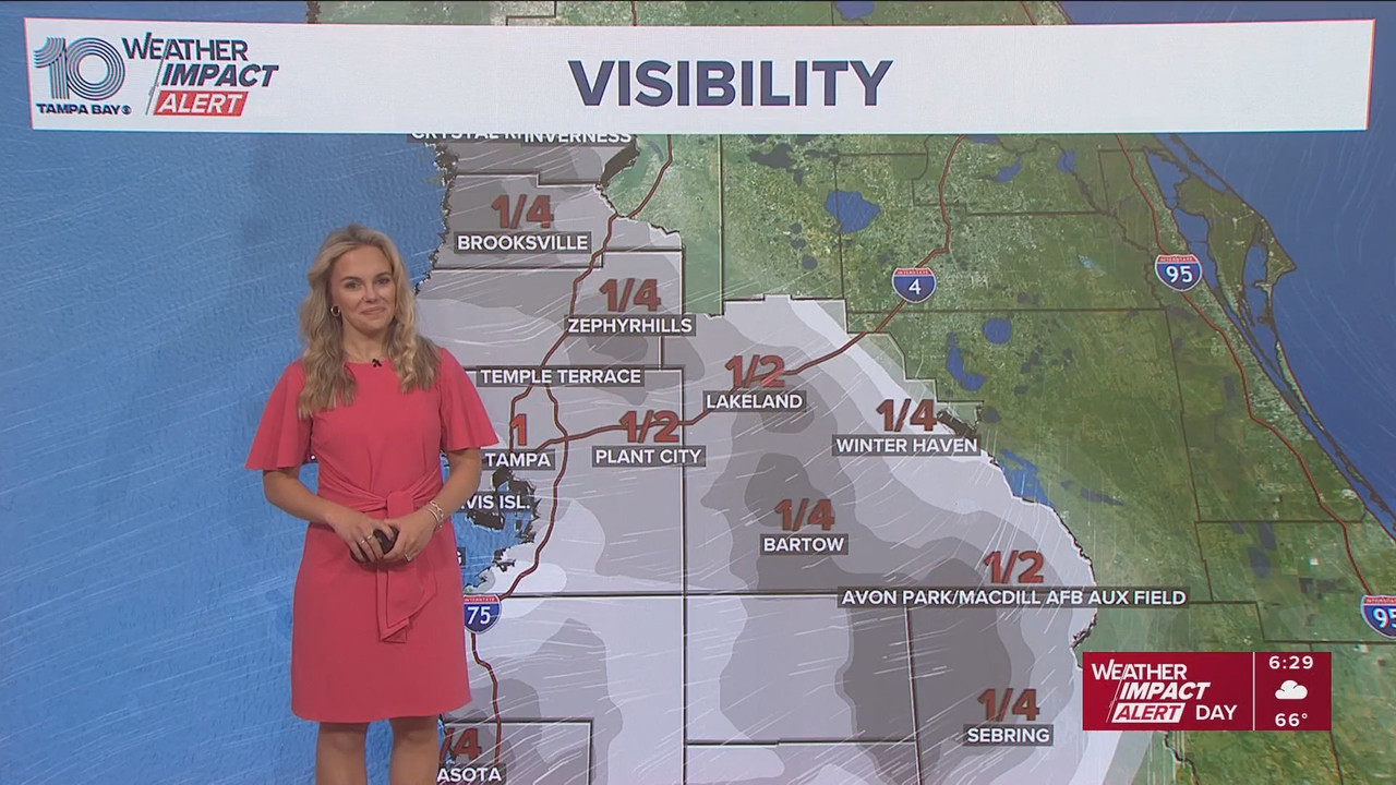 10 Tampa Bay News This Morning at 600 a m 20251124 11001200 ts snapshot 30 22 935