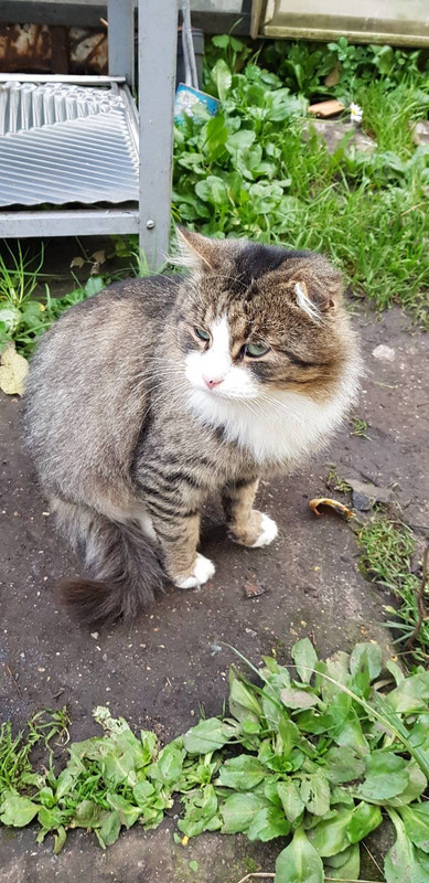 C710B198-461F-48B1-B95B-85238336FD11