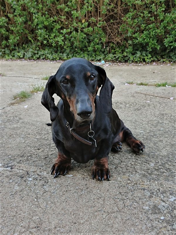 [Image: DSC-2023-05-03.jpg]