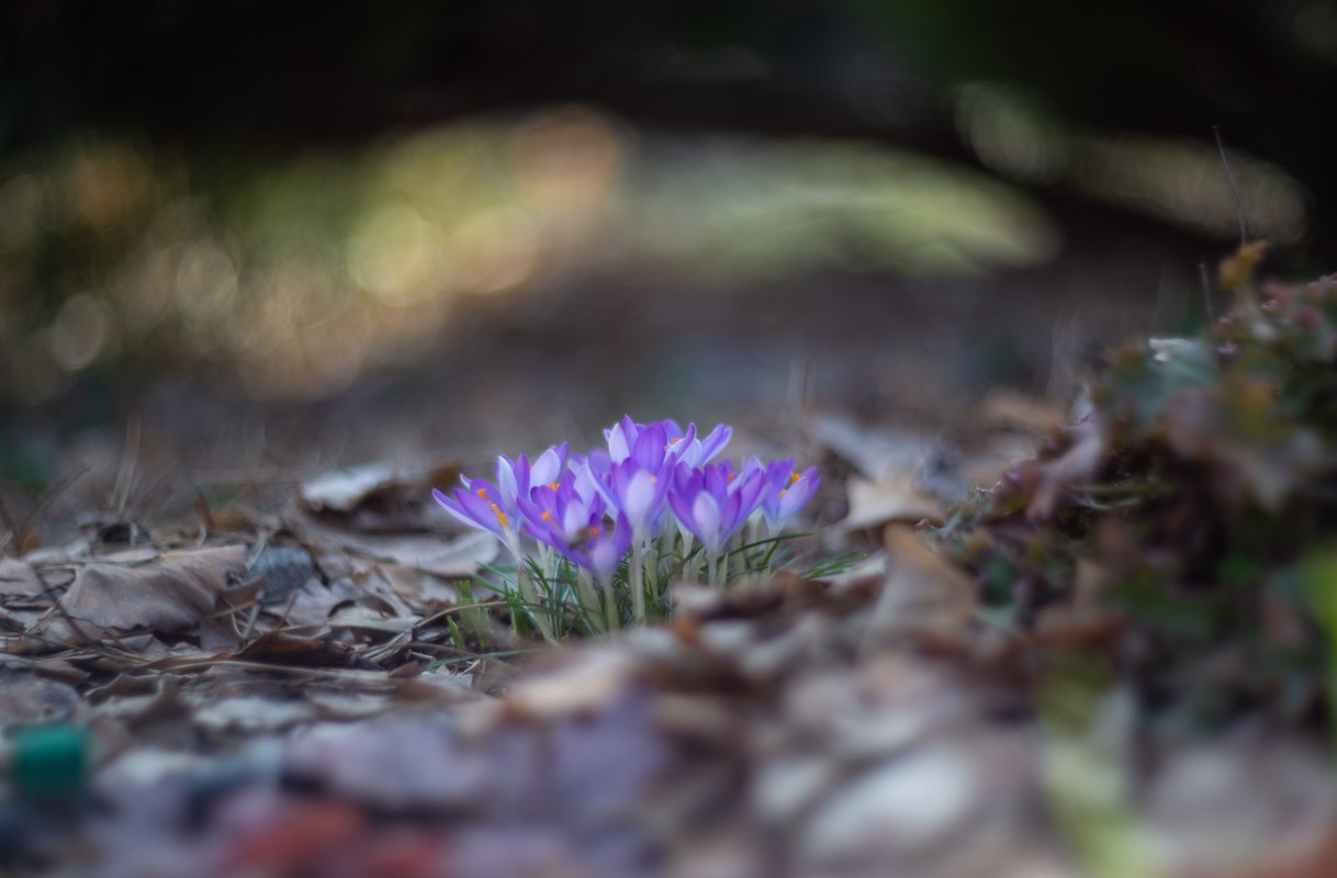 IMG-a545c1b16f081fdca36ddf9933032090-V