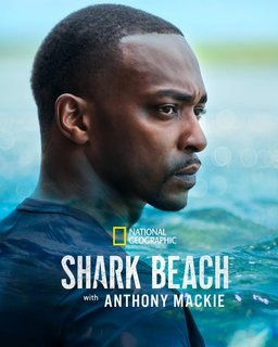 Shark-Beach-with-Anthony-Mackie-Gulf-Coast-2024-1080p-DSNP-WEB-DL-DDP5-1-H-264-HUN-AWS.jpg