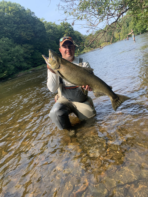 8EF85E2E-1545-4B4F-9DF8-97189885A919