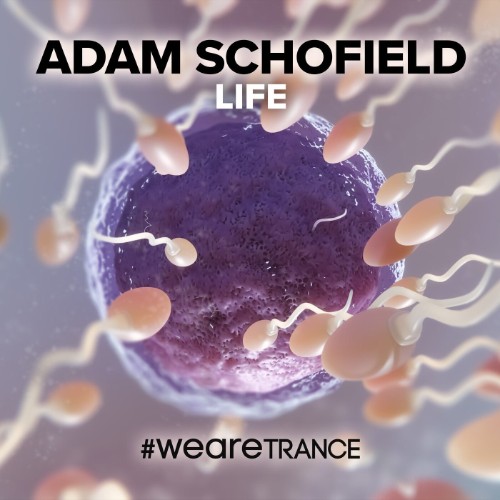 Adam Schofield - Life (2026)